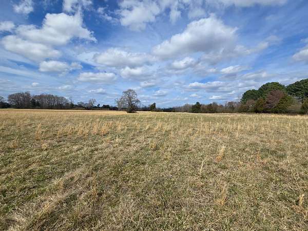200 Acres of Land for Sale in Conway, Arkansas
