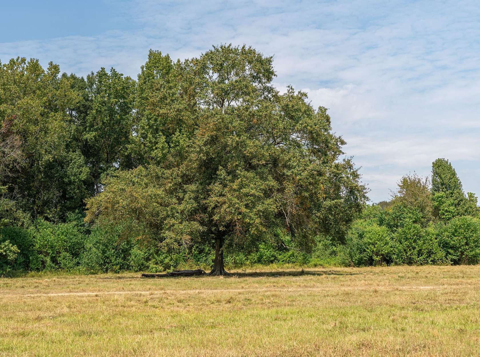 28 Acres of Land for Sale in Wetumpka, Alabama