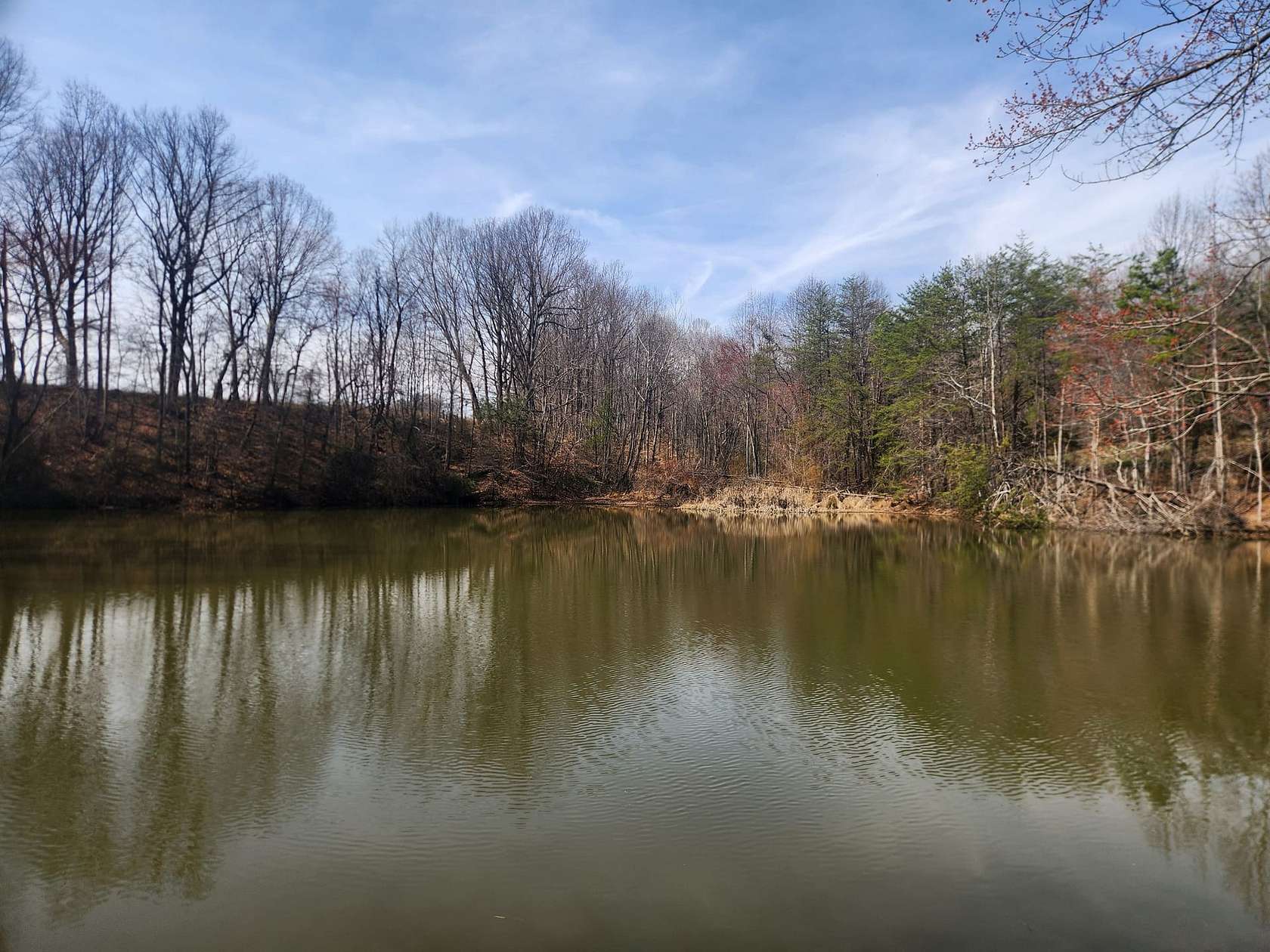 52.2 Acres of Land with Home for Sale in Hiddenite, North Carolina