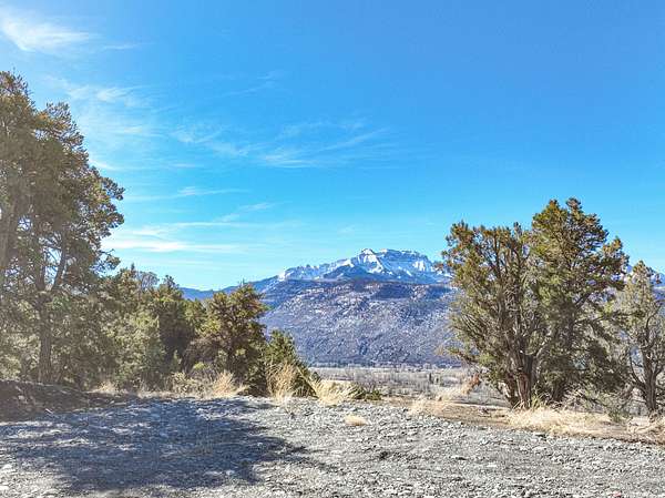 43 Acres of Recreational Land for Sale in Ridgway, Colorado