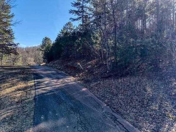 1 Acre of Residential Land for Sale in Blairsville, Georgia
