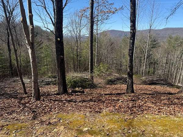 2.49 Acres of Land for Sale in Hayesville, North Carolina