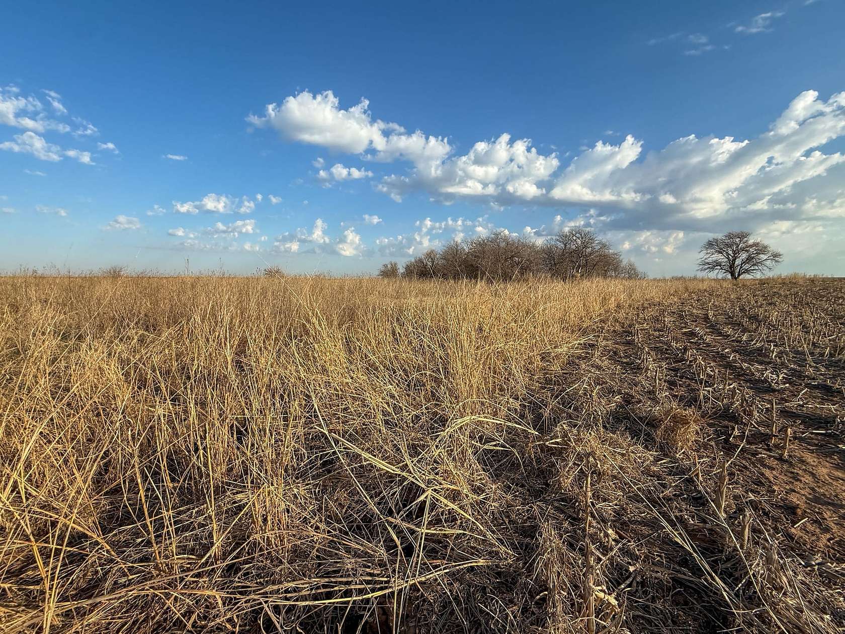 80 Acres of Land for Sale in Lamont, Oklahoma