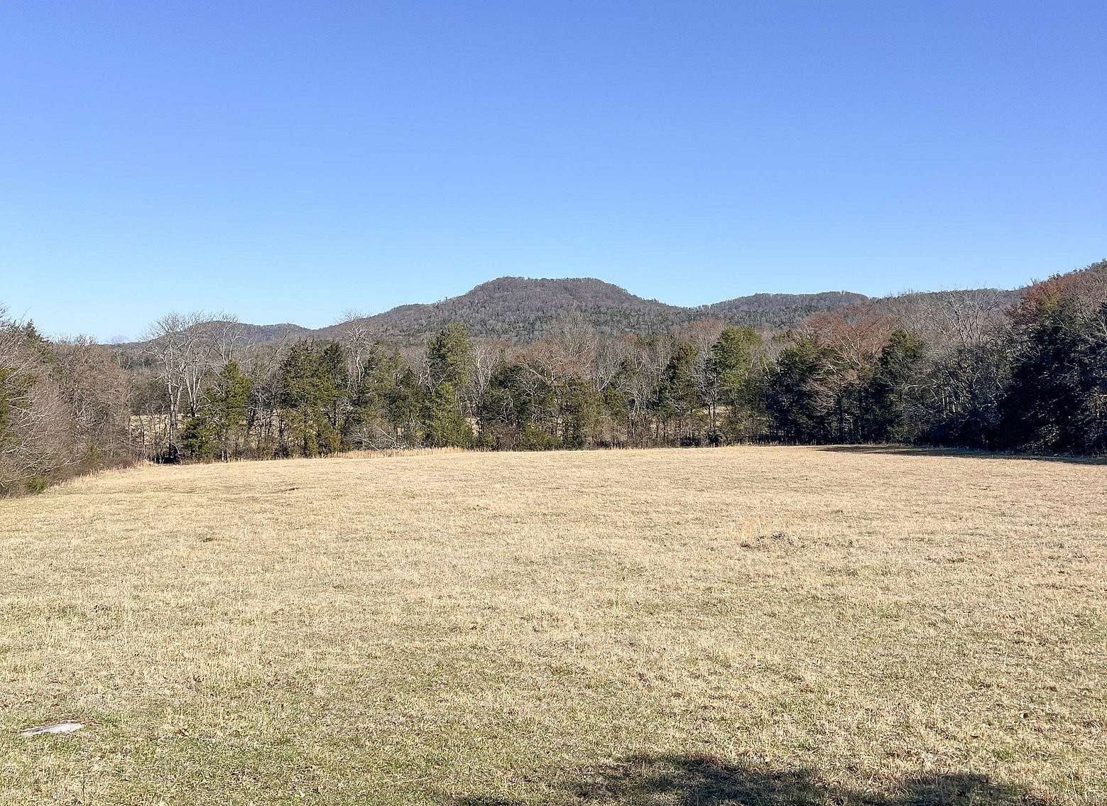 6.9 Acres of Residential Land for Auction in Milton, Tennessee