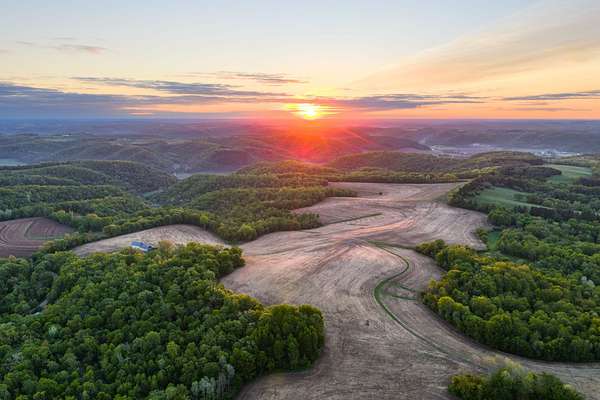 190 Acres of Land for Sale in Readstown, Wisconsin