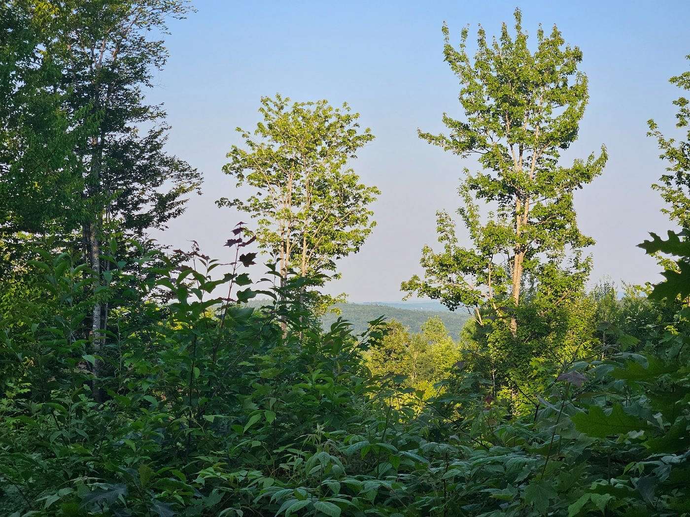 20 Acres of Land for Sale in Temple, Maine