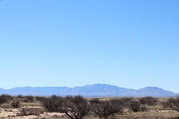 42.5 Acres of Land for Sale in Willcox, Arizona
