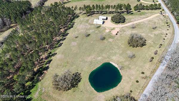 11.9 Acres of Land for Sale in Osyka, Mississippi