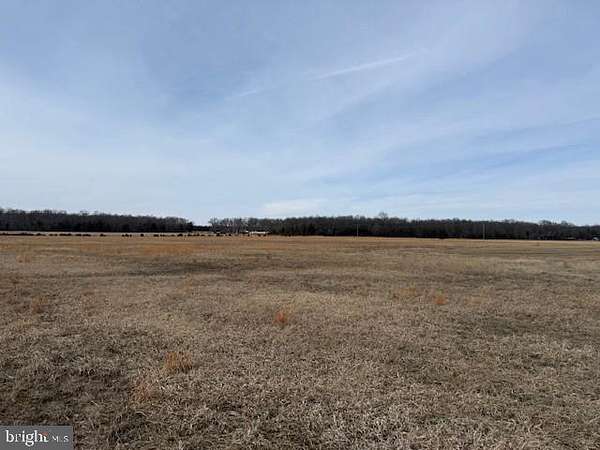 15.4 Acres of Land for Sale in Elkwood, Virginia
