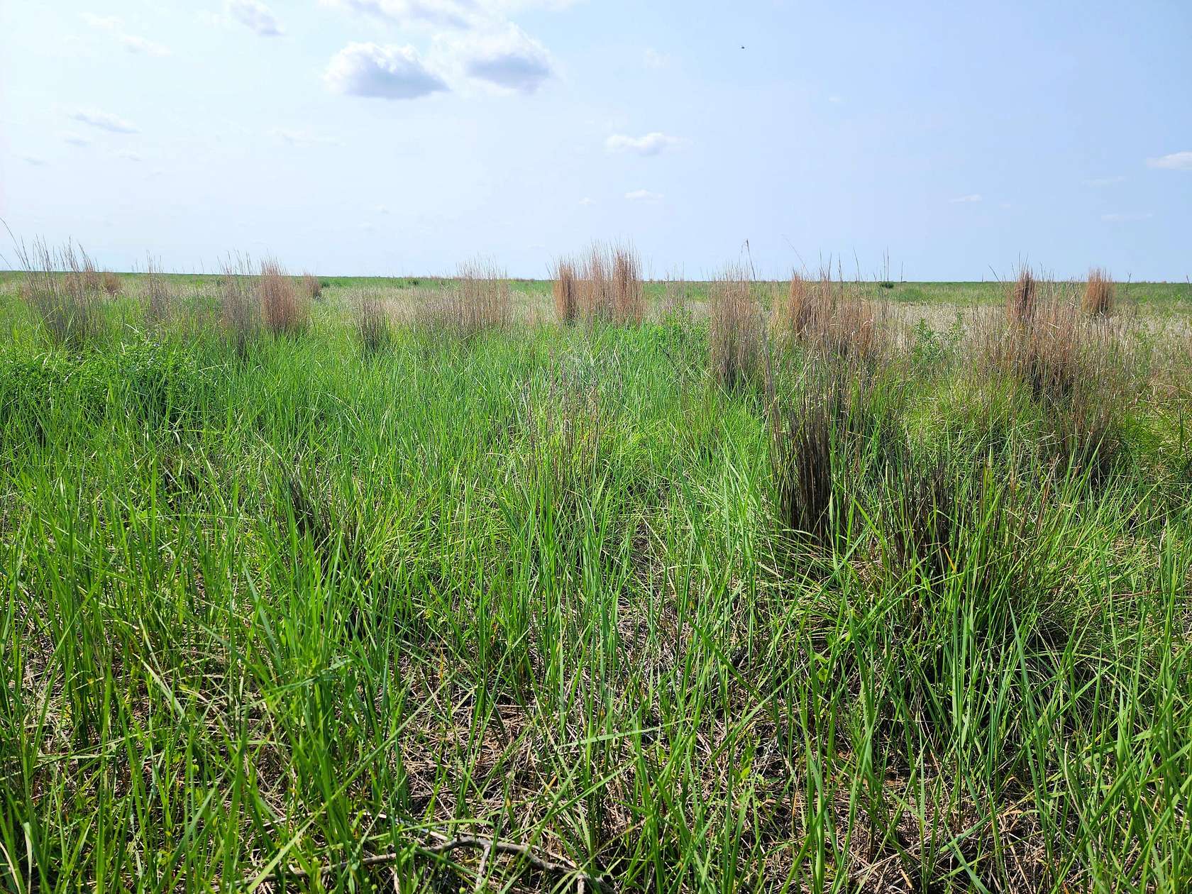 477 Acres of Land for Sale in Eads, Colorado