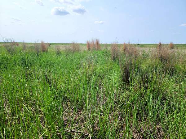 477 Acres of Land for Sale in Eads, Colorado