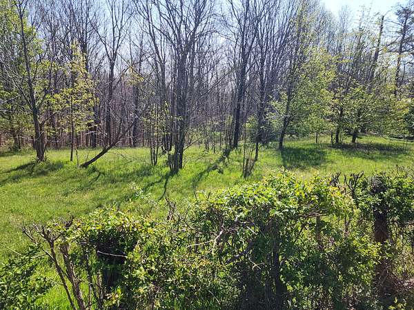 5 Acres of Residential Land for Sale in Franklin, Tennessee