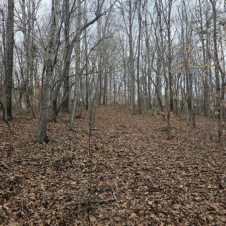5.3 Acres of Residential Land for Sale in Ashland City, Tennessee