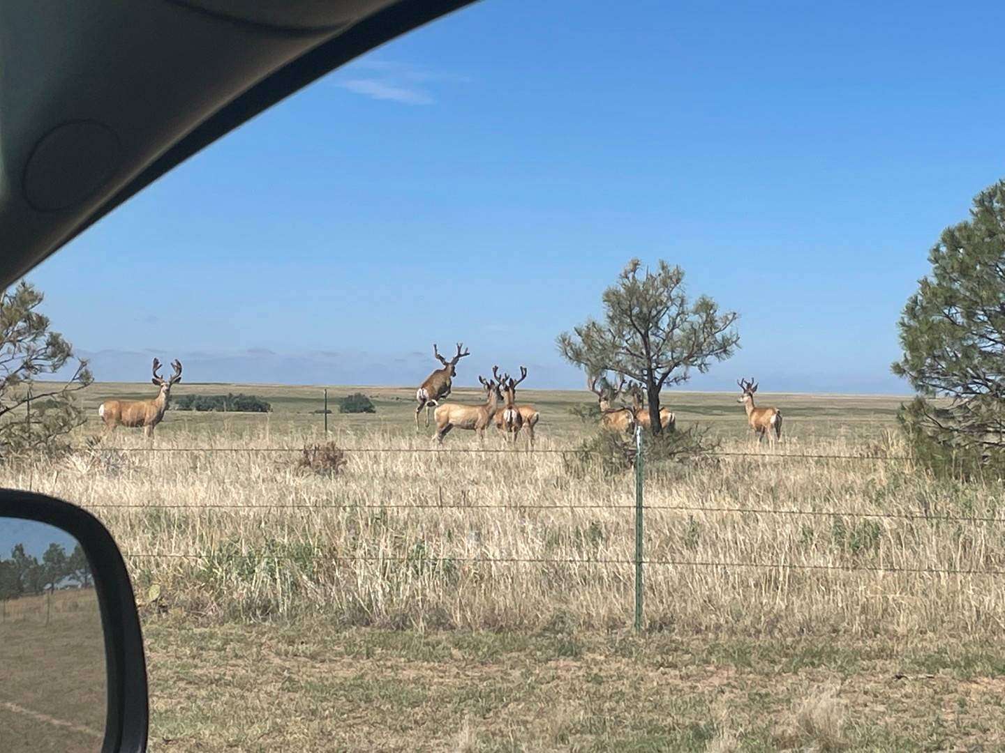 5,867 Acres of Agricultural Land for Sale in Limon, Colorado