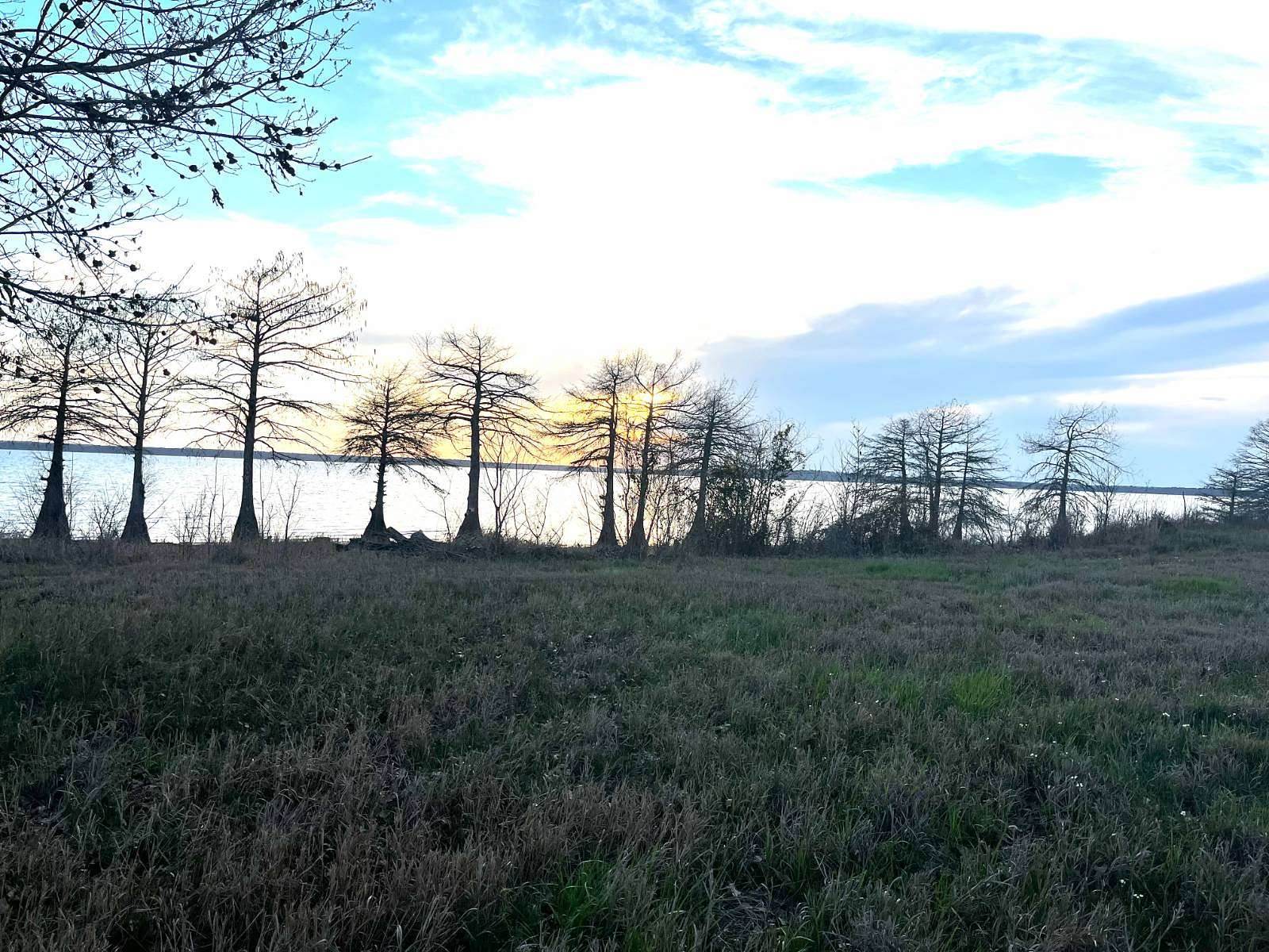 1 Acre of Residential Land for Sale in Logansport, Louisiana