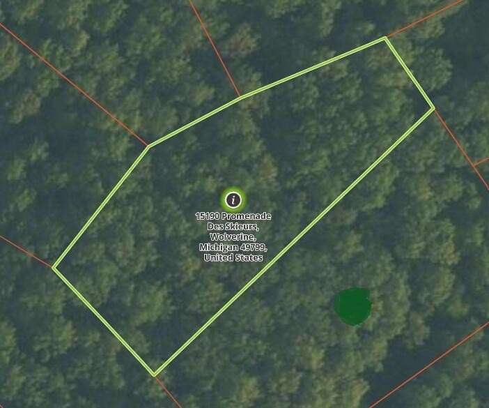 0.31 Acres of Land for Sale in Wolverine, Michigan