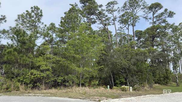 0.55 Acres of Residential Land for Sale in Orange Beach, Alabama