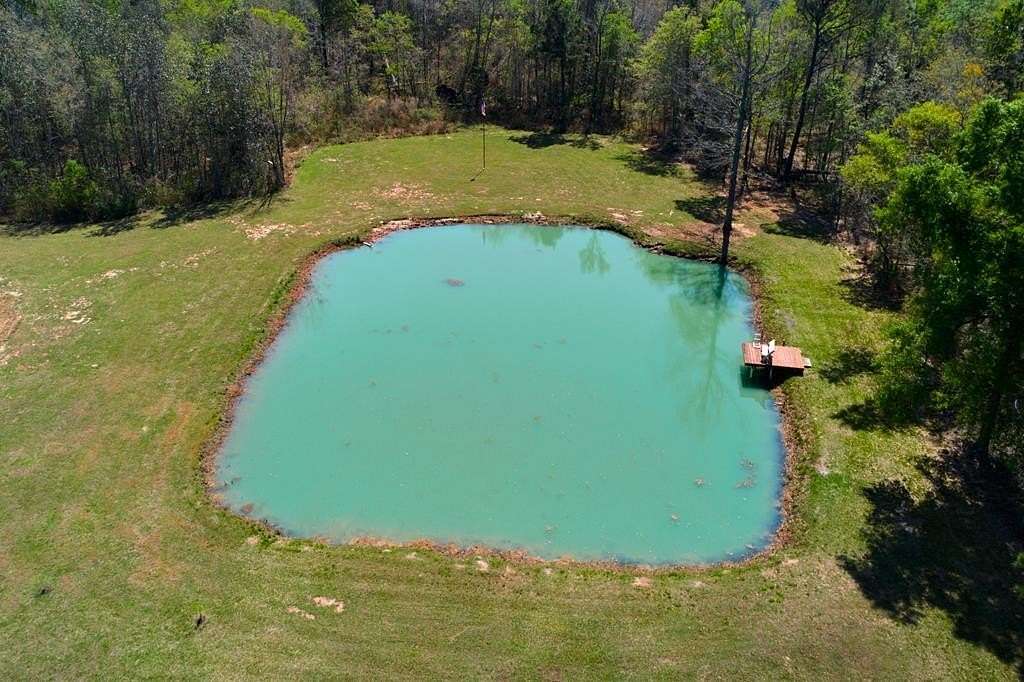 5 Acres of Residential Land for Sale in Ray City, Georgia