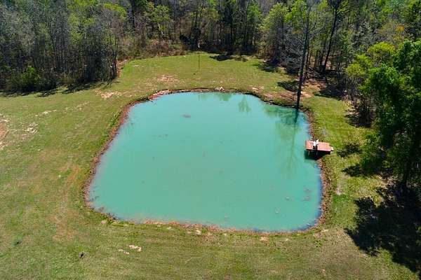 5 Acres of Residential Land for Sale in Ray City, Georgia