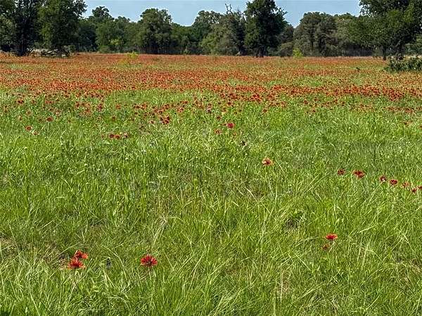 56 Acres of Recreational & Residential Land for Sale in Brownwood, Texas