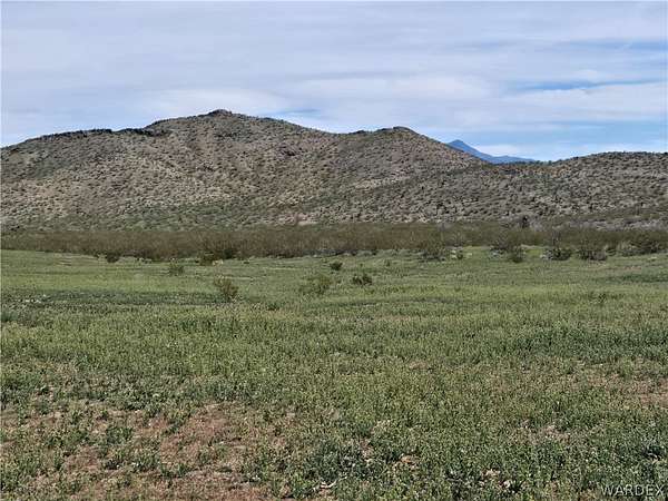 5 Acres of Land for Sale in Dolan Springs, Arizona