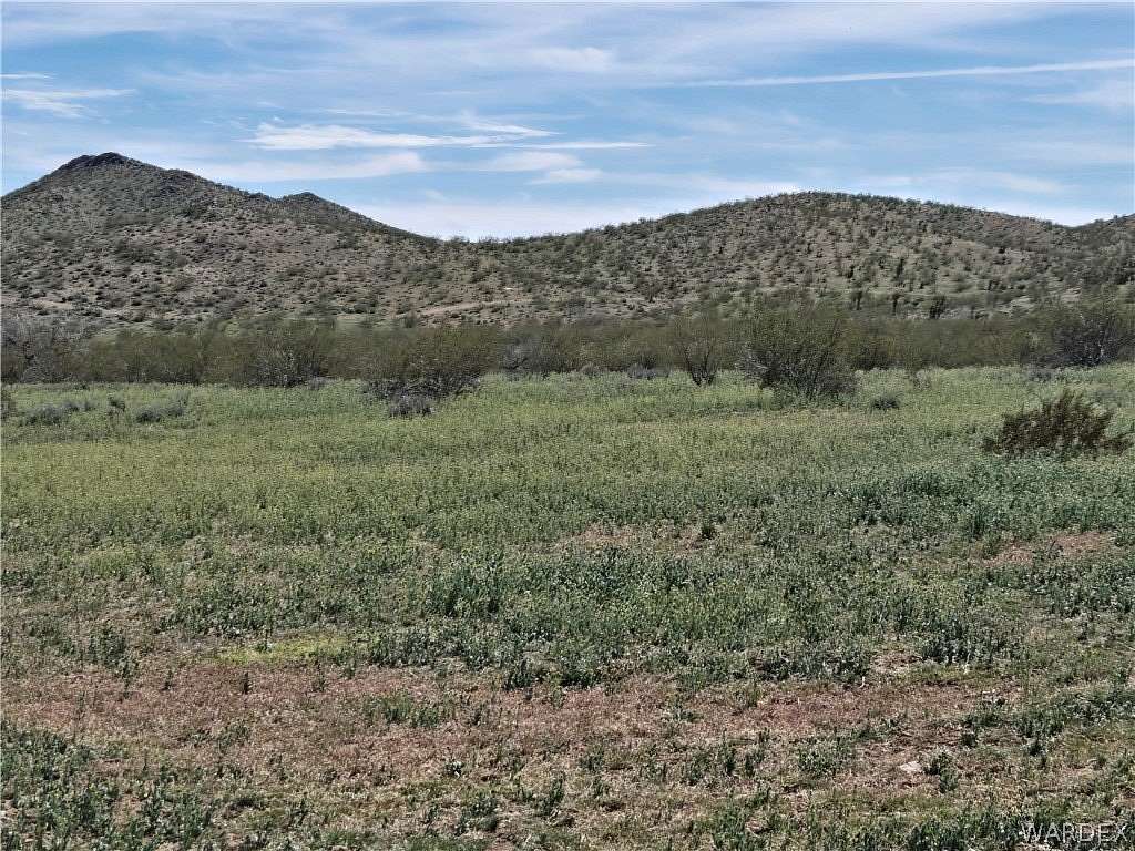 9.89 Acres of Land for Sale in Dolan Springs, Arizona