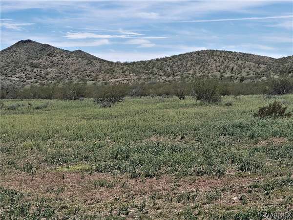9.89 Acres of Land for Sale in Dolan Springs, Arizona