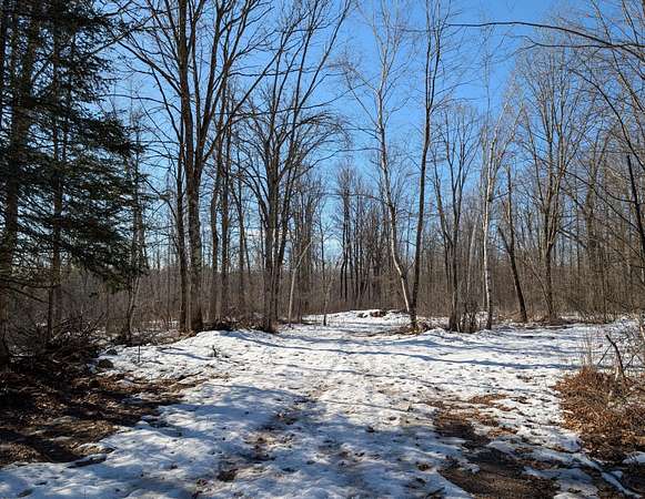 69.5 Acres of Recreational Land for Sale in Conrath, Wisconsin