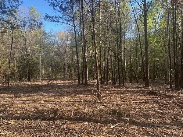 10 Acres of Recreational & Residential Land for Sale in Dahlonega, Georgia