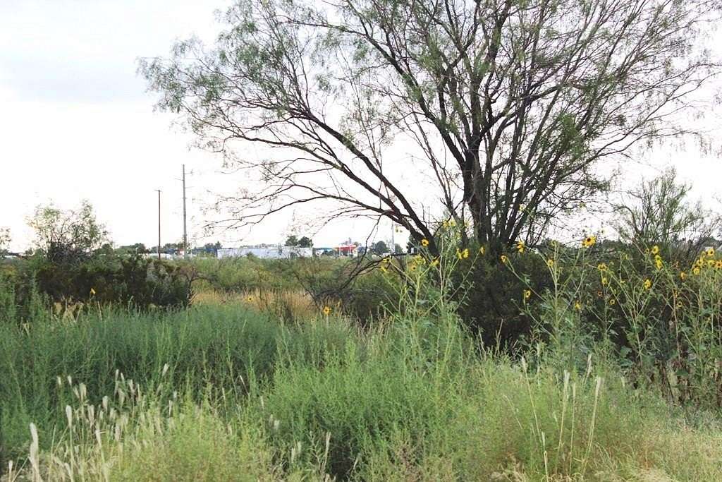 Land for Sale in Fort Stockton, Texas
