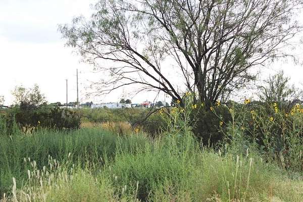 Land for Sale in Fort Stockton, Texas
