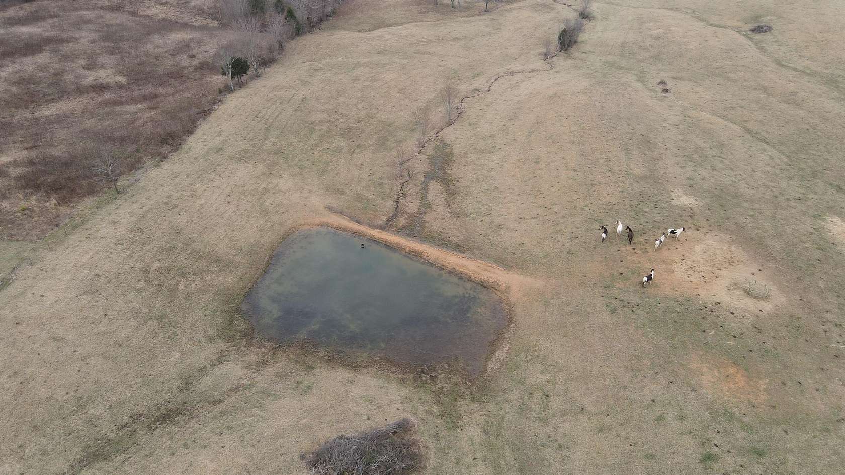 50 Acres of Recreational Land for Sale in Pikeville, Tennessee