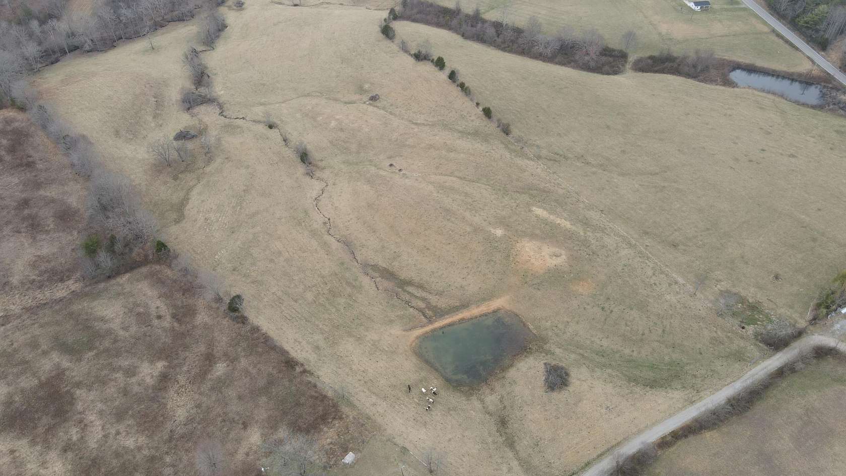 50 Acres of Recreational Land for Sale in Pikeville, Tennessee