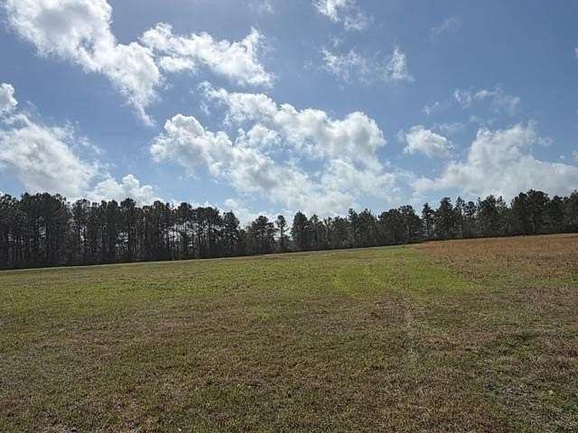 10 Acres of Residential Land for Sale in Poplarville, Mississippi