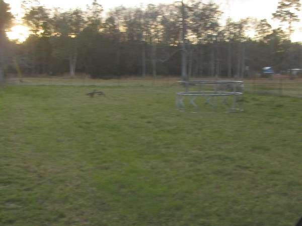 10 Acres of Land for Sale in Picayune, Mississippi