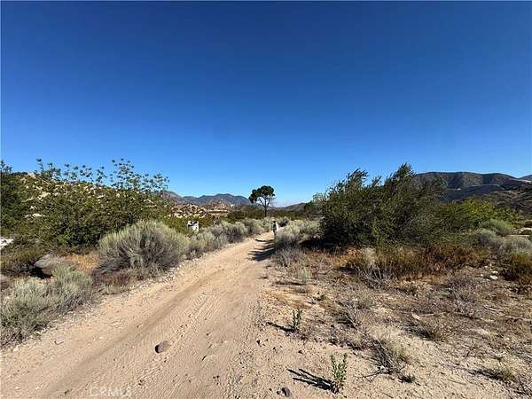 120 Acres of Agricultural Land for Sale in Phelan, California