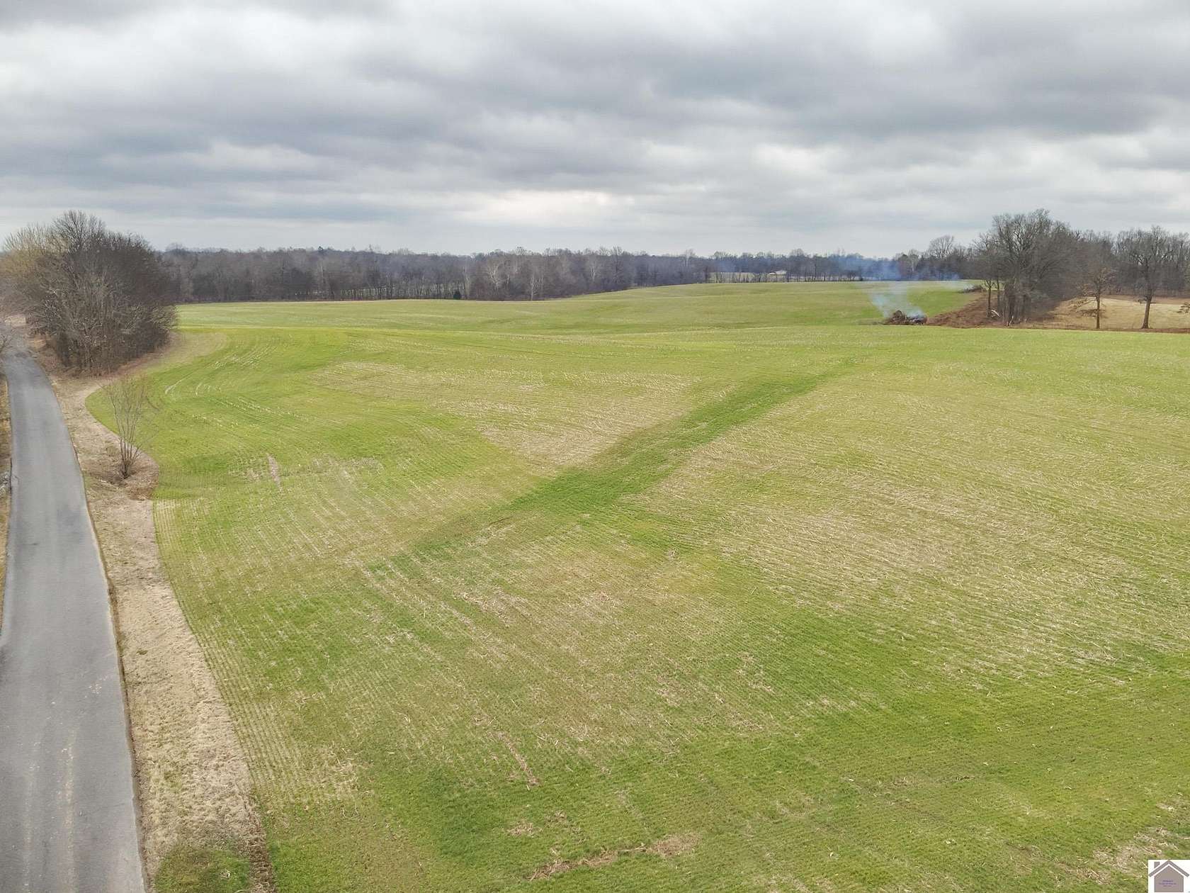 81.2 Acres of Agricultural & Residential Land for Sale in Kevil, Kentucky