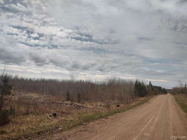 20 Acres of Recreational Land for Sale in Republic, Michigan