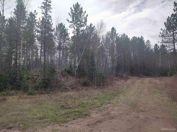 60 Acres of Recreational Land for Sale in Republic, Michigan