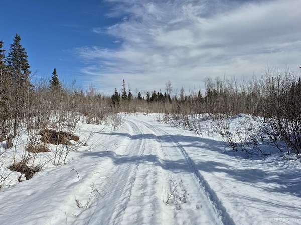 60 Acres of Recreational Land for Sale in Republic, Michigan