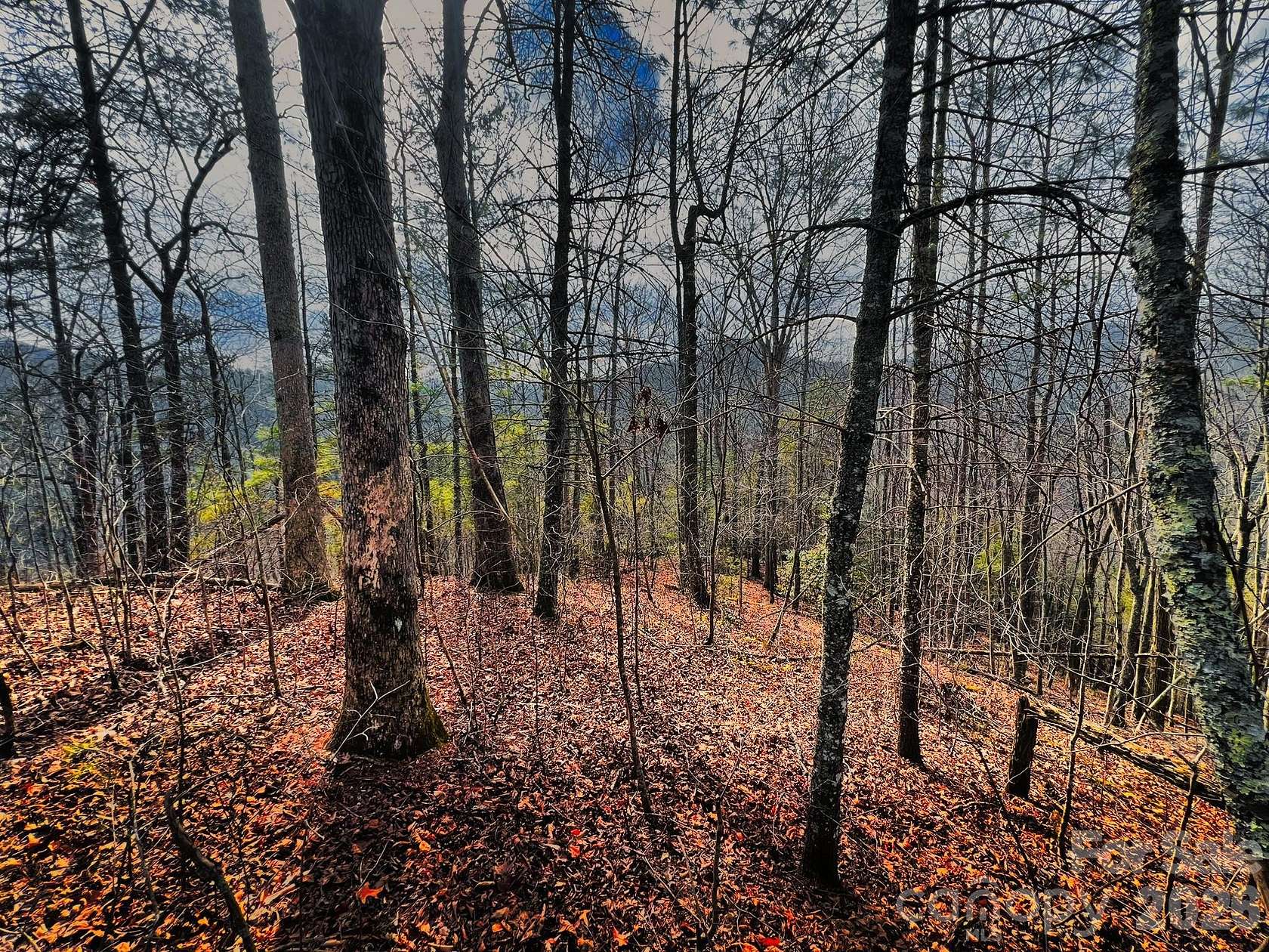 2.34 Acres of Residential Land for Sale in Marshall, North Carolina