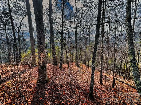 2.34 Acres of Residential Land for Sale in Marshall, North Carolina