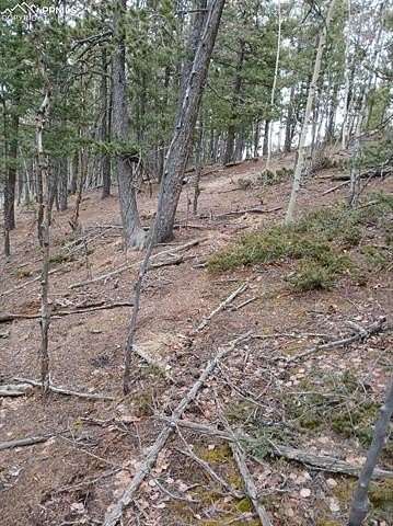 0.17 Acres of Land for Sale in Woodland Park, Colorado