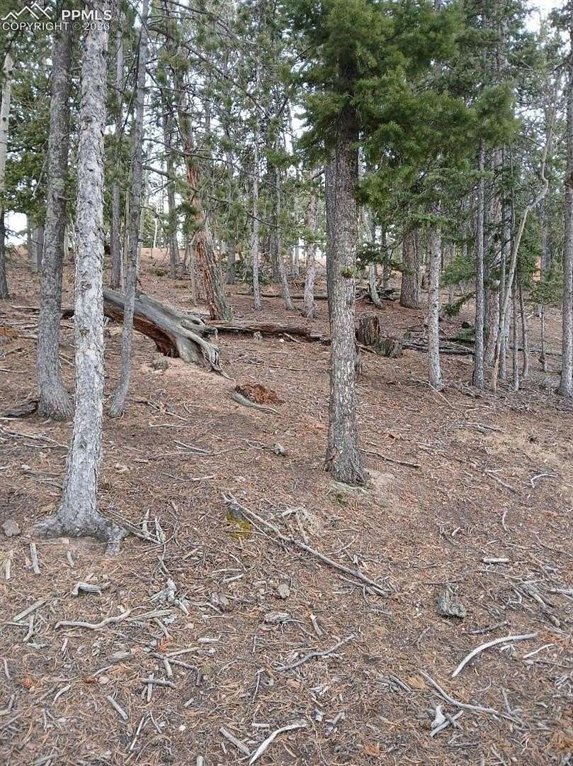 0.17 Acres of Land for Sale in Woodland Park, Colorado