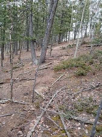 0.17 Acres of Land for Sale in Woodland Park, Colorado