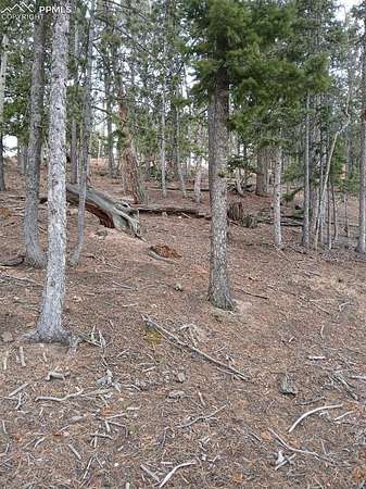 0.17 Acres of Land for Sale in Woodland Park, Colorado