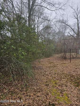 3.72 Acres of Mixed-Use Land for Sale in Rockingham, North Carolina