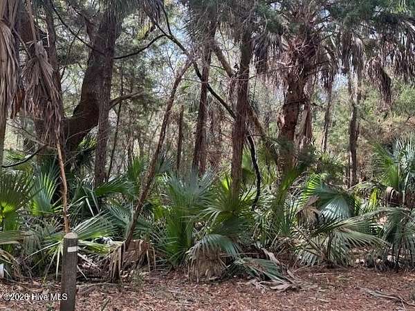 0.25 Acres of Residential Land for Sale in Bald Head Island, North Carolina