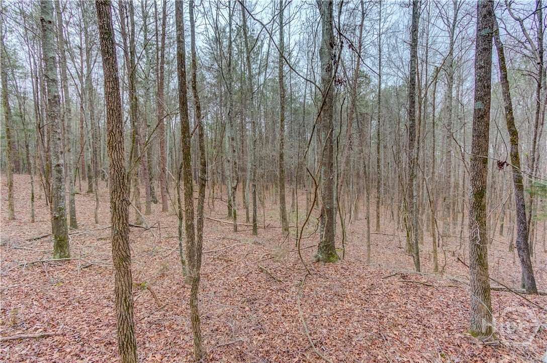9.43 Acres of Land for Sale in Carnesville, Georgia