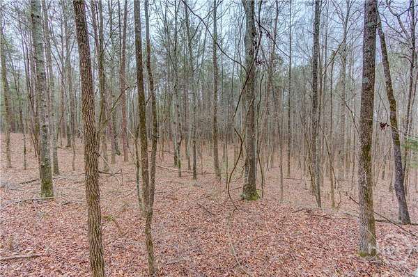 9.43 Acres of Land for Sale in Carnesville, Georgia
